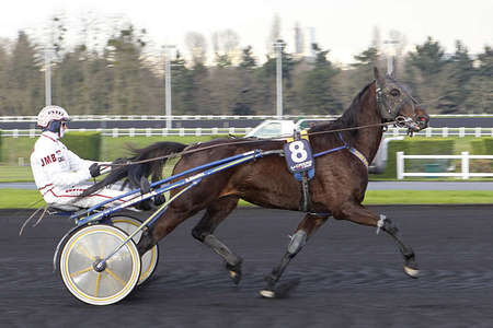 Pronostic du Quinté du jour